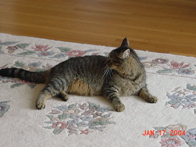 Image 12 of 54  -  37 kB