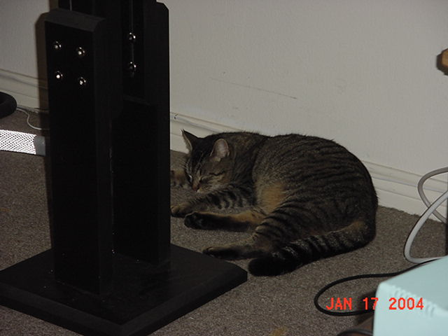 Image 18 of 54  -  37 kB