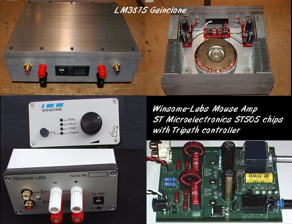 Mouse amp with arrays